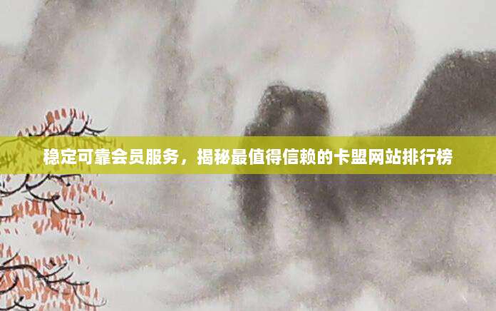 稳定可靠会员服务，揭秘最值得信赖的卡盟网站排行榜