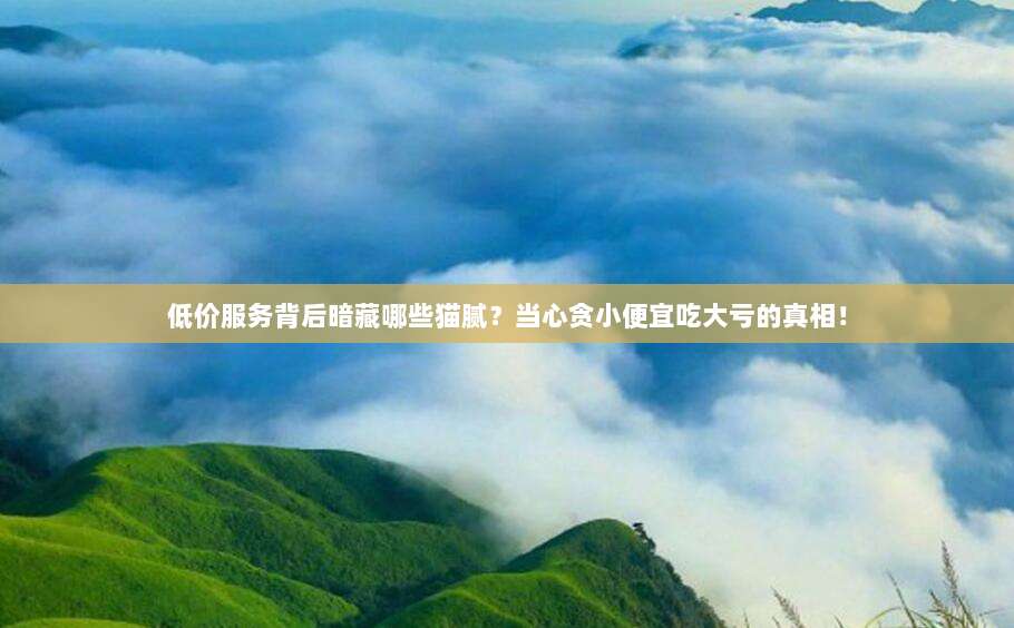 低价服务背后暗藏哪些猫腻？当心贪小便宜吃大亏的真相！