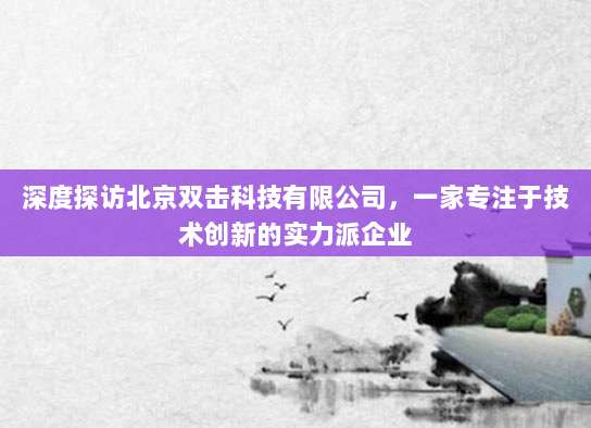 深度探访北京双击科技有限公司，一家专注于技术创新的实力派企业