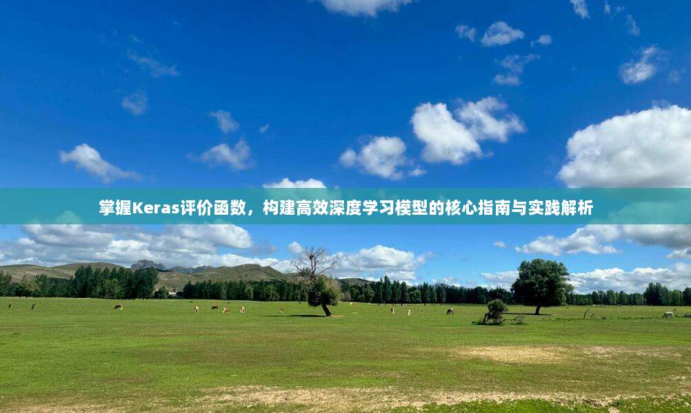 掌握Keras评价函数，构建高效深度学习模型的核心指南与实践解析